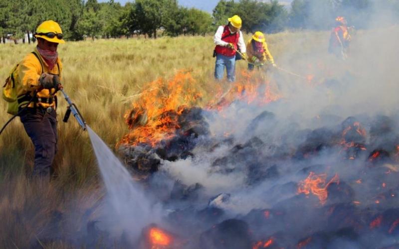 Reportan 3 incendios de pastizales diarios en Veracruz; PC exhorta no tirar basura