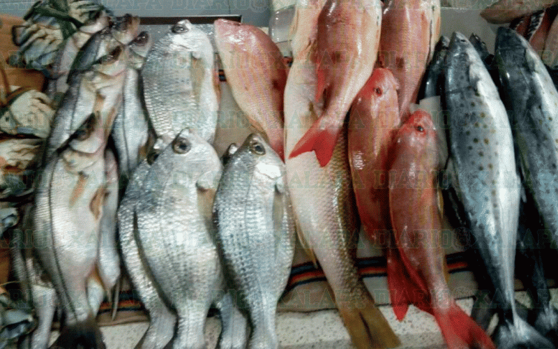  Se recuperan pescadores en Veracruz, venta de mariscos al alza, luego de la pandemia