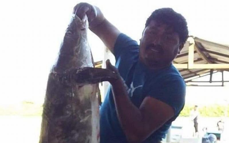 Piden apoyo para localizar 4 pescadores desaparecidos en Veracruz