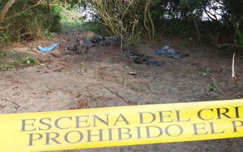 47 cuerpos hallados en fosas clandestinas , en Alvarado, Veracruz