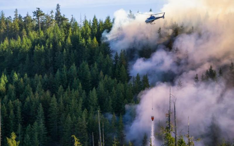       Suman 145 muertos por ola de calor en Canadá y Estados Unidos