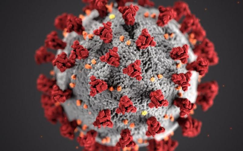 Variante Delta del coronavirus es más contagiosa