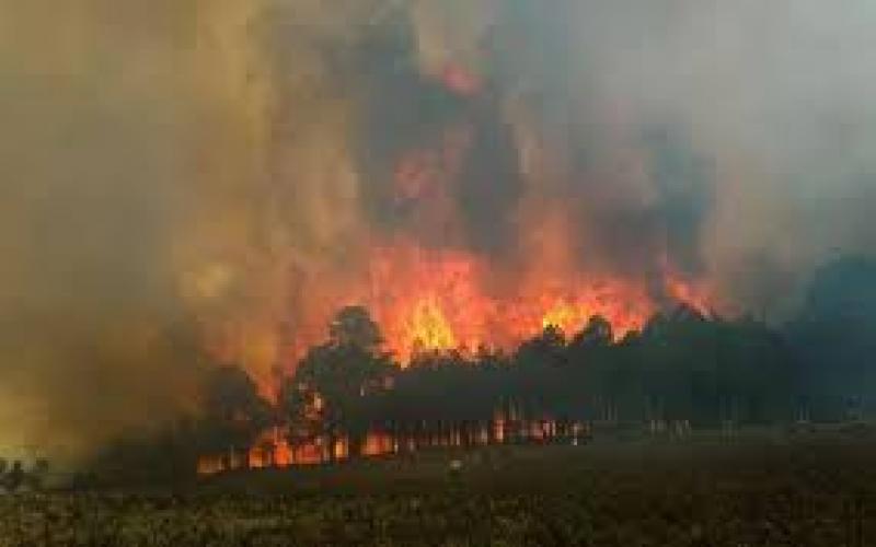 ¿Cuándo concluye la temporada de incendios forestales en Veracruz?