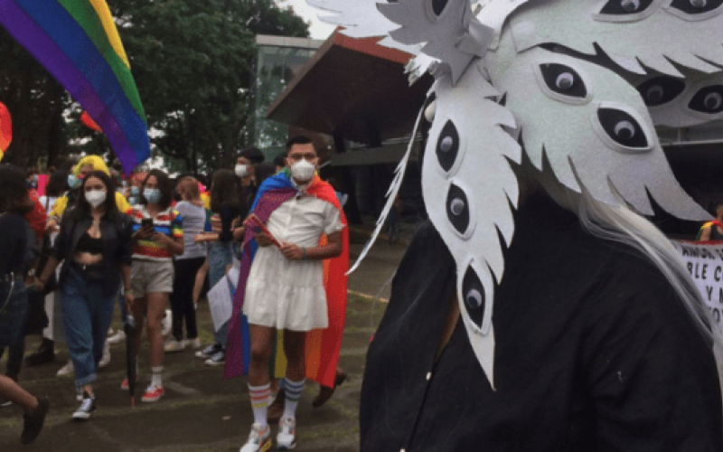 ‘’Lenchotransmarika’’, primera marcha en Xalapa