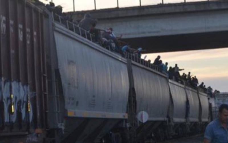  Quedan mutilados dos migrantes luego de caer de un tren en Veracruz