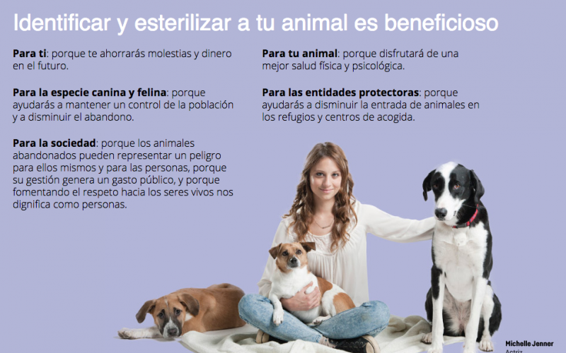 ¿Porqué es importante esterelizar a tu mascota?