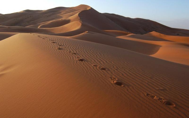 Mueren 6 migrantes de sed en el desierto del Sahara