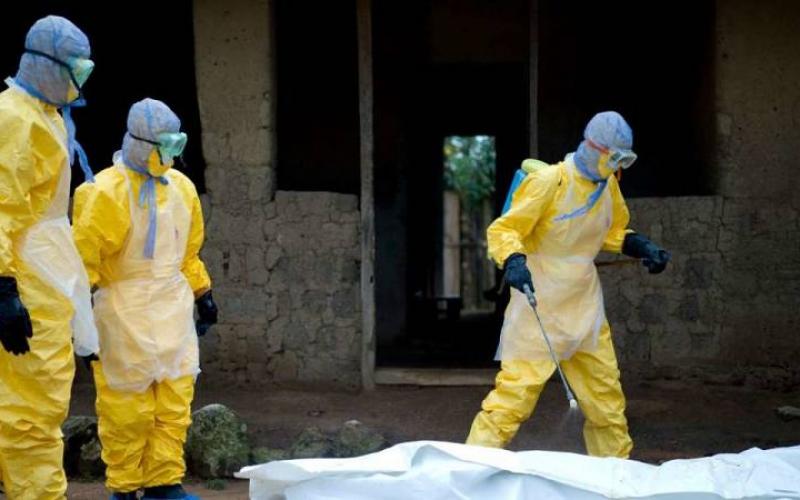 OMS confirma primera muerte por virus de Marburgo en África