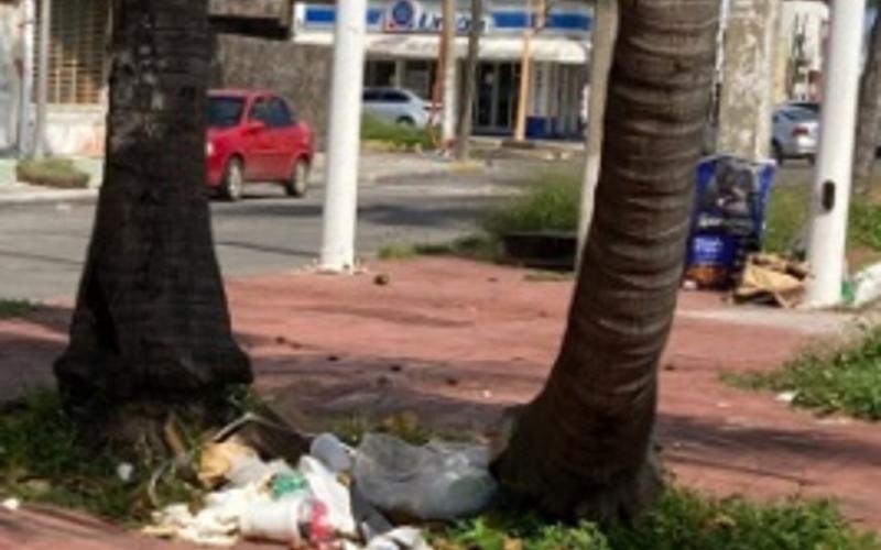 Reportan bolsas de basura en camellón de Costa Verde