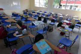 Educación básica regresaría a clases el 10 de agosto; media superior y superior el 21 de septiembre, prevé gobierno de Veracruz