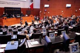 Acuerdan Senadores regreso a las actividades