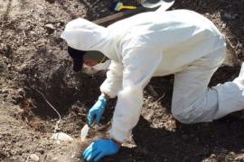 Encuentran fosa con cuatro cuerpos en Mineral del Monte, Hidalgo