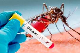Veracruz segundo lugar en el país en contagios de Dengue