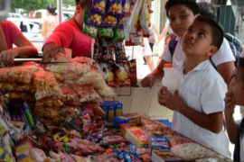 En Veracruz buscan prohibir venta de 'comida chatarra' a menores de edad
