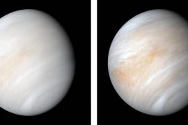 Hallan posibles indicios de vida… en Venus