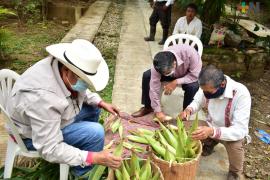 Con la intención de venerar a la madre tierra y reconocer que es el alimento considerado el más importante en los pueblos indígenas