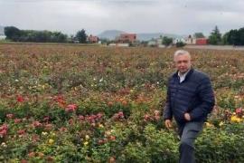 “Esto es México”, dice AMLO al mostrar rosal en Atlixco