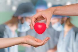 Acto de amor y conciencia: Día Nacional de la Donación y Trasplante de Órganos y Tejidos