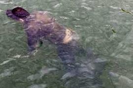  Veracruzanos fallecen ahogados en el Río Bravo