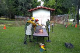 Se reafirma el esfuerzo conjunto de los gobiernos, sociedad y fuerzas armadas para alcanzar un México en paz