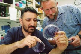 Científicos que identificaron hepatitis C ganan Nobel de Medicina 2020