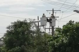 La Comisión Federal de Electricidad (CFE) suspendió el servicio de energía eléctrica a media decena de restaurantes de la ciudad con adeudos acumulados durante los últimos seis meses, es decir, en plena pandemia.