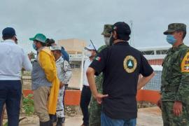 Servirán para reforestar la zona serrana del municipio 