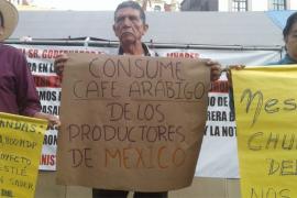 Productores de café en Veracruz son perjudicados por la empresa transnacional Nestlé