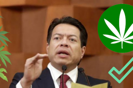 Iniciativas para regular consumo y venta de marihuana: Mario Delgado