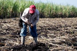 Líderes campesinos, proveedores y hasta personal de la dependencia es investigado por acaparar recursos de apoyo para el campo