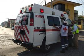 Abejas africanas atacan a pareja de ancianos en Córdoba Veracruz