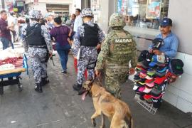 Veracruz usará binomios caninos en operativos contra venta de pirotecnia
