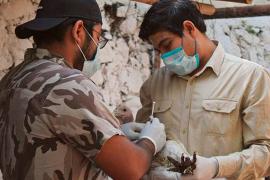 lberto Cervantes Murguía, naturalista y guardián de las montañas suma esfuerzos y crea el primer “Cuartel Huitzil”, su objetivo es el rescate, cuidado y preservación de la fauna mexicana