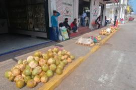 Aumenta la demanda de coco en Coatzacoalcos, debido al COVID19