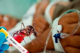 Sexto lugar nacional para Veracruz en casos de dengue