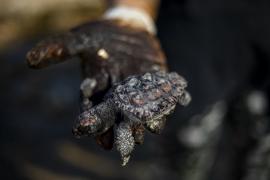 Fuerte derrame de petróleo en Israel,  cierra todas sus playas