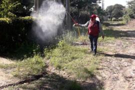  Realizan labores de fumigación contra el dengue en Agua Dulce, Veracruz