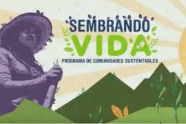 Denuncias y suspensión del programa “Sembrando Vida” en Veracruz
