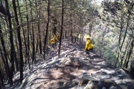 Al momento, no hay incendios forestales activos en el estado.