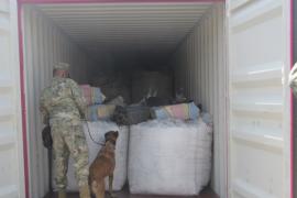 En el Puerto de Lazaro Cardenas-Michoacan, Semar asegura 334 kilos de cocaína