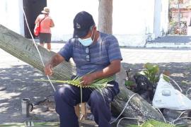  Bajas ventas para vendedores de palma en iglesias de Xalapa