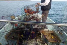 Al menos 377 mil 178 kilogramos de productos marinos fueron incautados: Conapesca