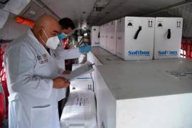 Vacunas anti COVID para adultos mayores llegaran a todos los municipios de Veracruz: AMLO