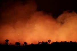 Científicos advierten incendios en la Amazonia por aumento de temperaturas