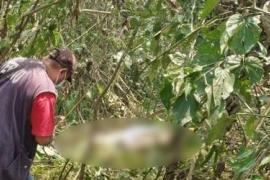 Hallan cadáver en  Orizaba, Veracruz