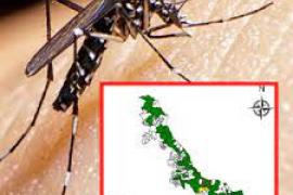 Veracruz, primer lugar nacional en casos de dengue