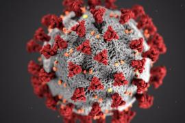 Variante Delta del coronavirus es más contagiosa
