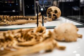 Esqueletos vikingos se reunirán en exposición