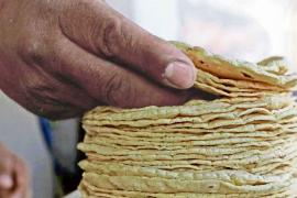 Amenaza por posible aumento al precio de la tortilla en Xalapa