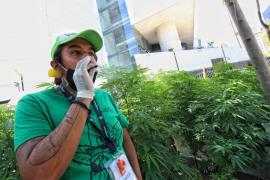 Movimiento Cannábico demanda sitios públicos para fumar mariguana en Xalapa